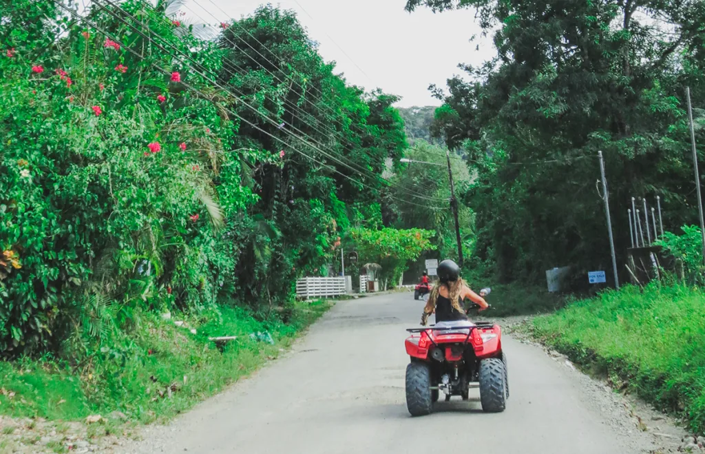 Route dans la jungle Santa Teresa